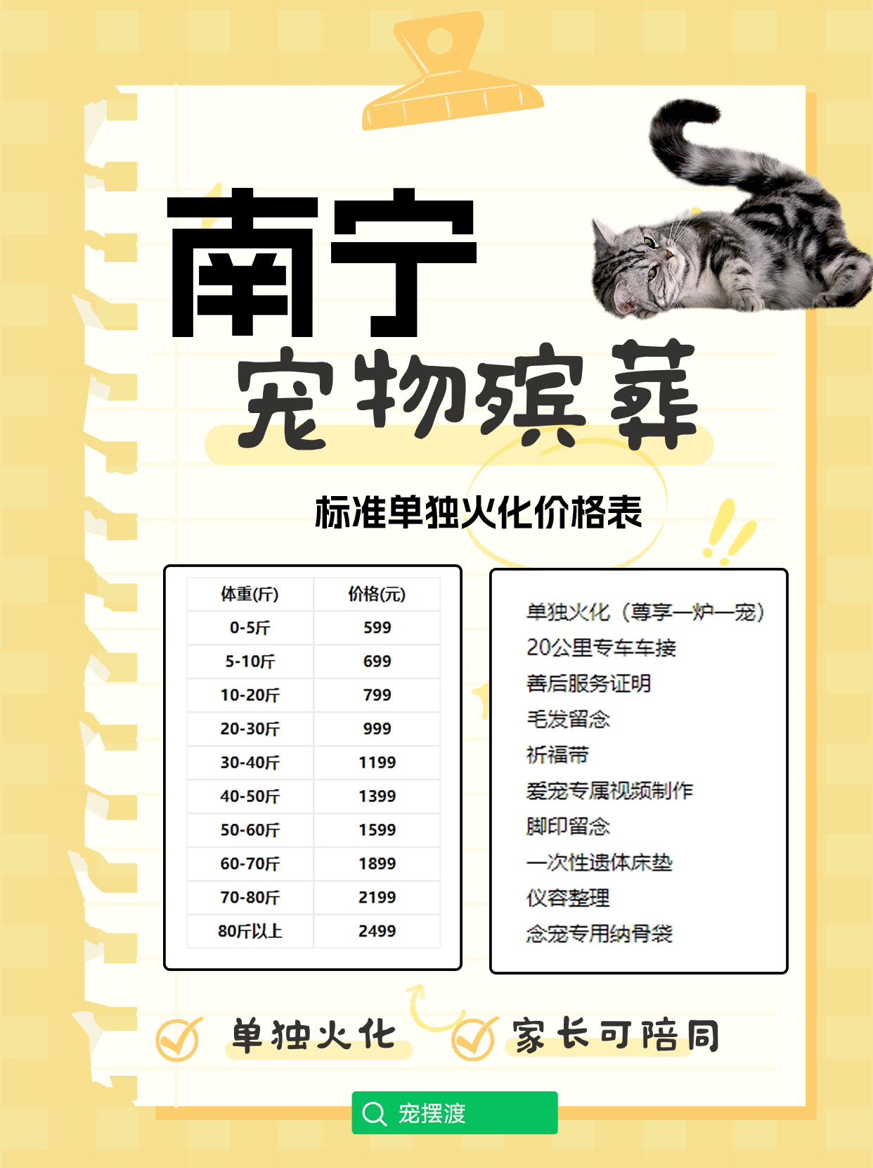 南宁宠物身后事：如何为宠物选择合适的殡葬方案