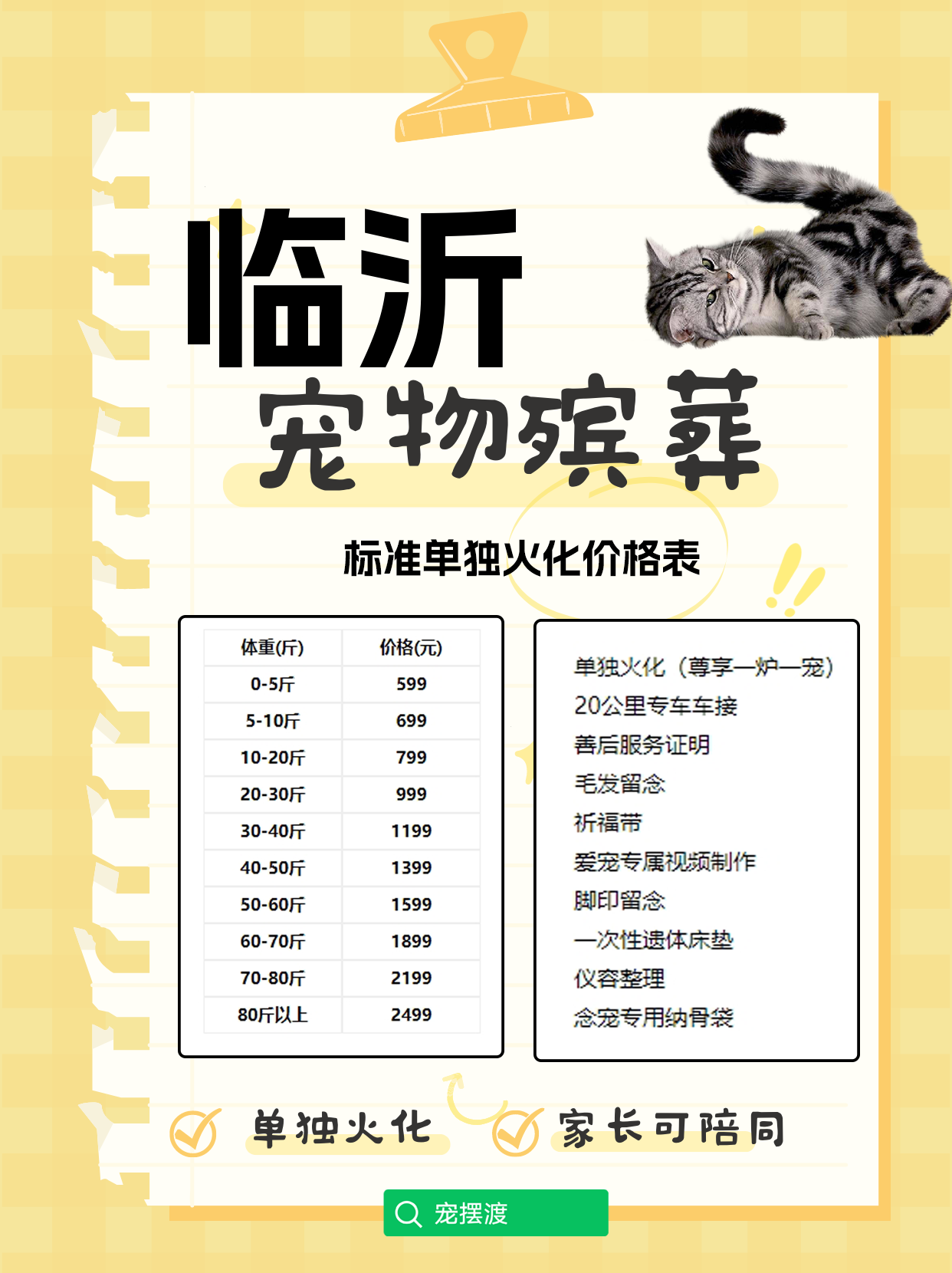 临沂宠物善后：如何在悲伤中找到继续前行的勇气