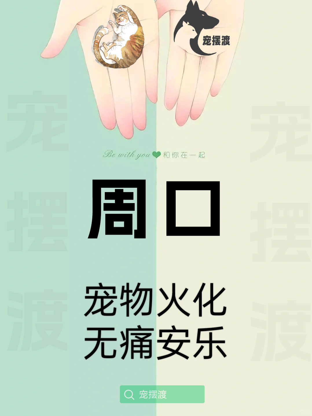 周口宠物善后：如何处理宠物的遗体告别仪式