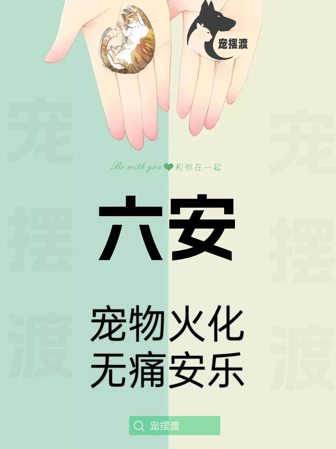 六安宠物殡葬：如何为宠物选择合适的殡葬风格