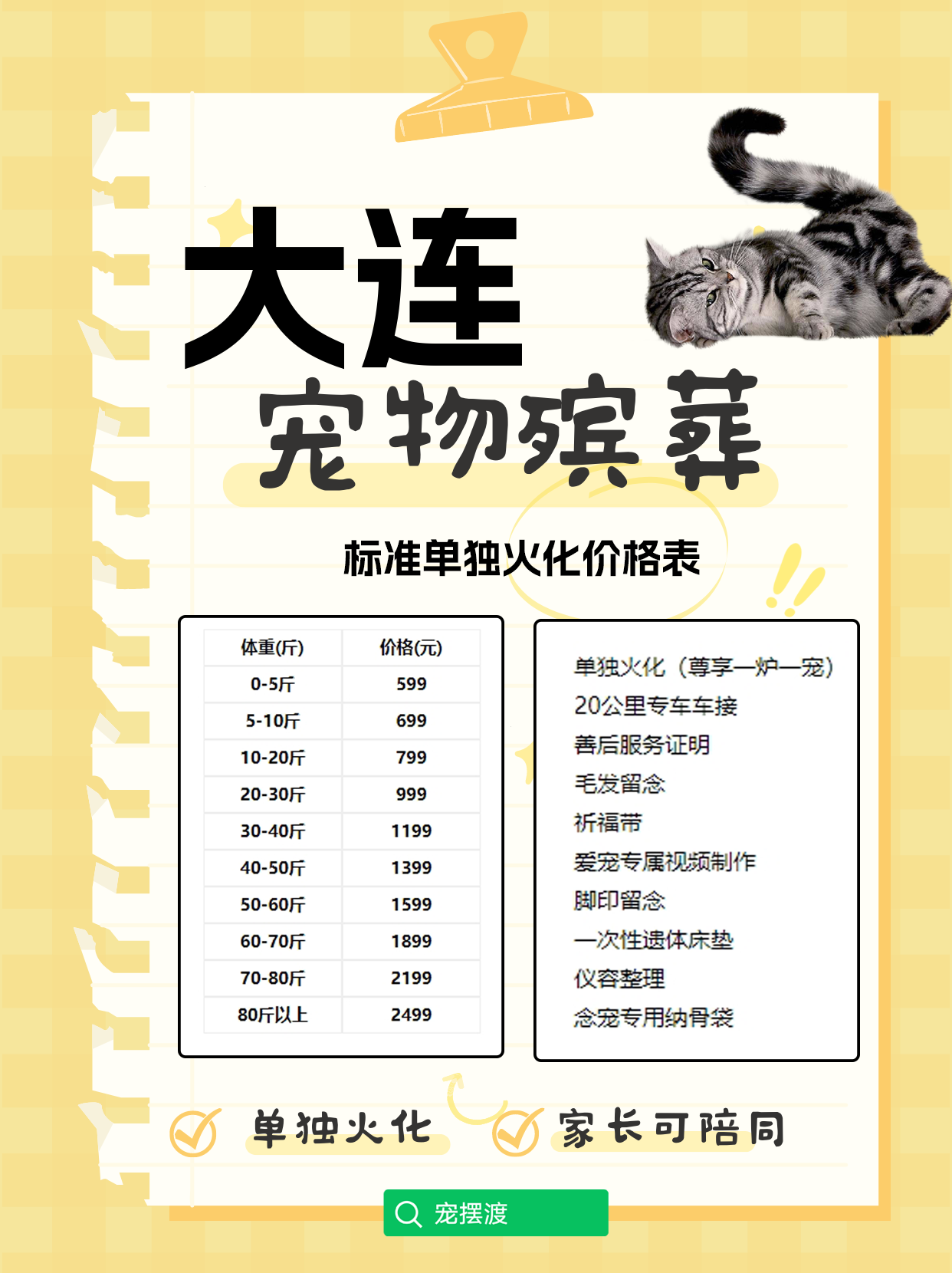 大连宠物善后：如何面对失去爱宠后的痛苦与不舍