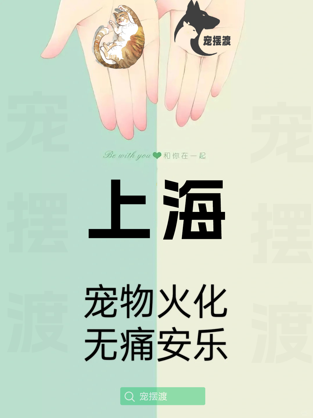 上海宠物身后事：如何处理宠物的遗体告别仪式