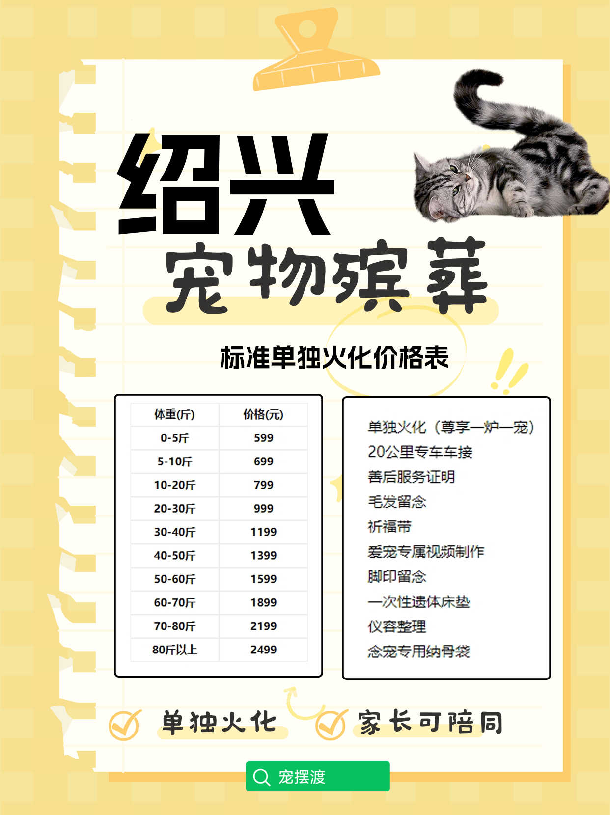 绍兴宠物善后：如何面对失去爱宠后的空虚与思念