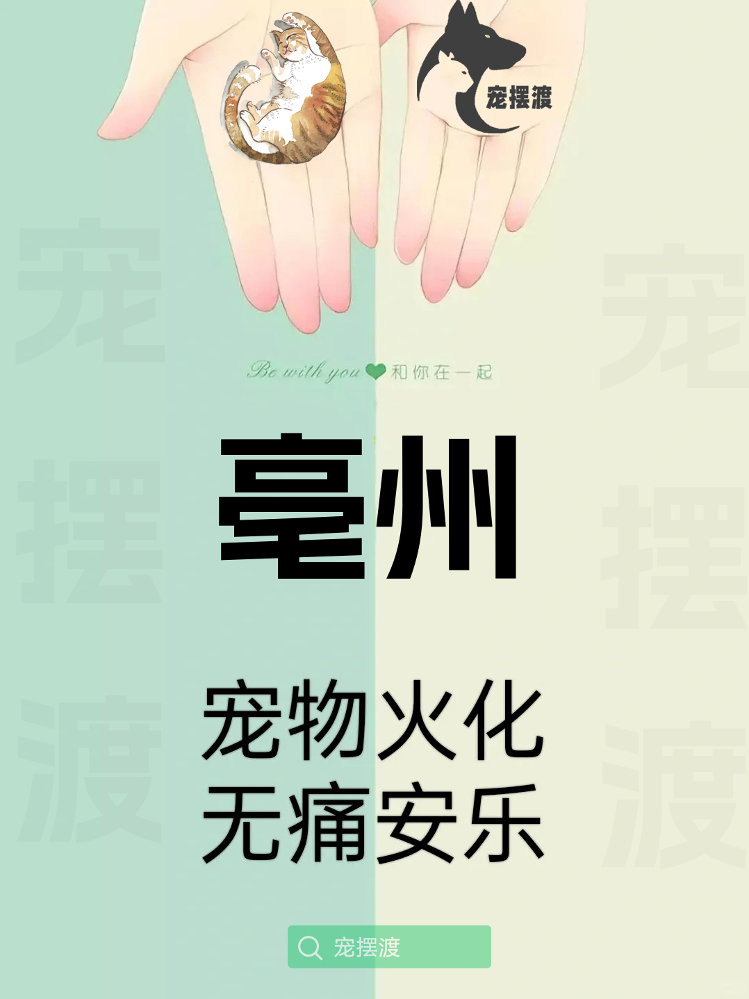 亳州宠物殡葬：如何为宠物选择合适的殡葬风格