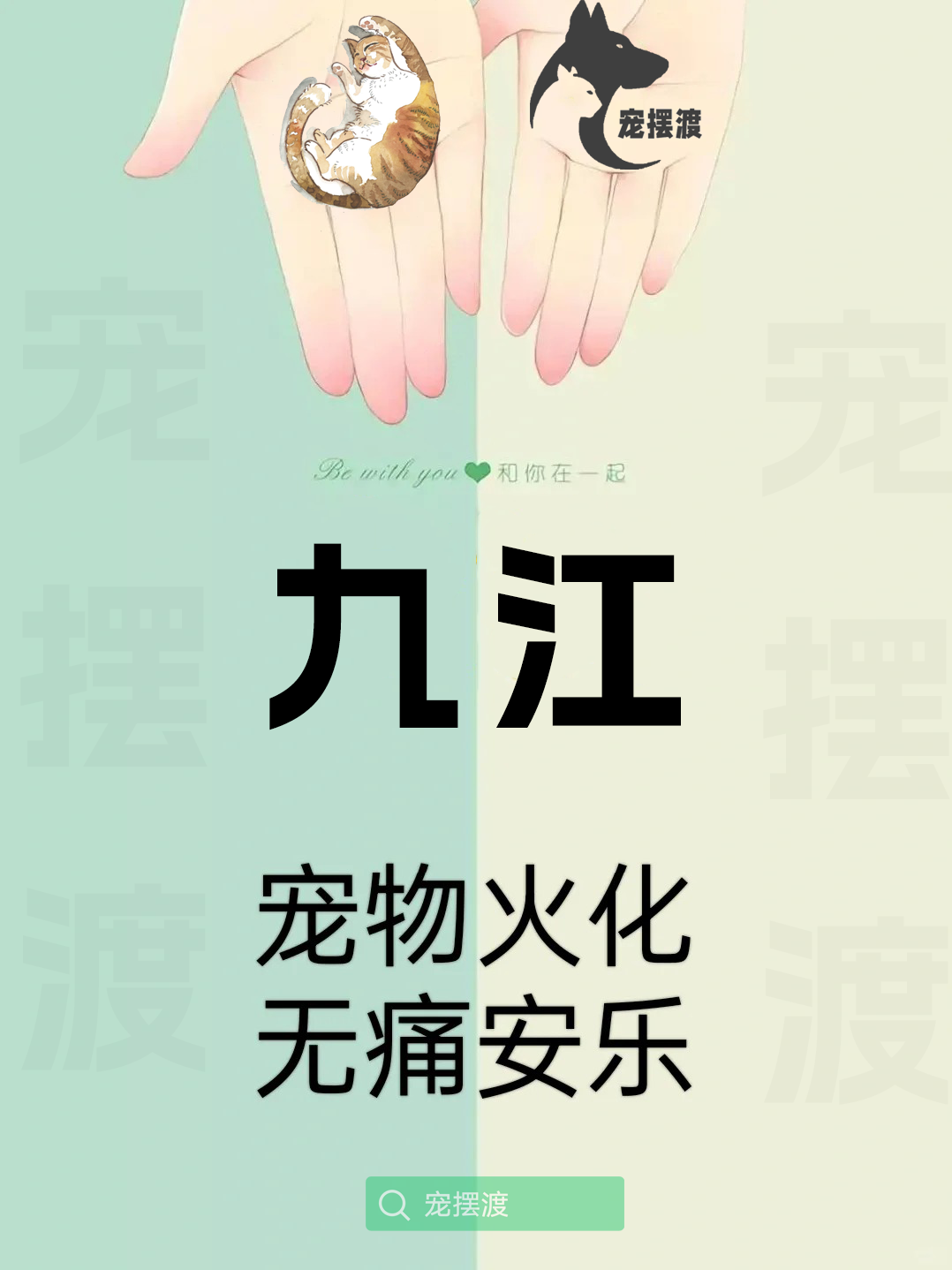 九江宠物身后事：如何处理宠物的遗体告别仪式