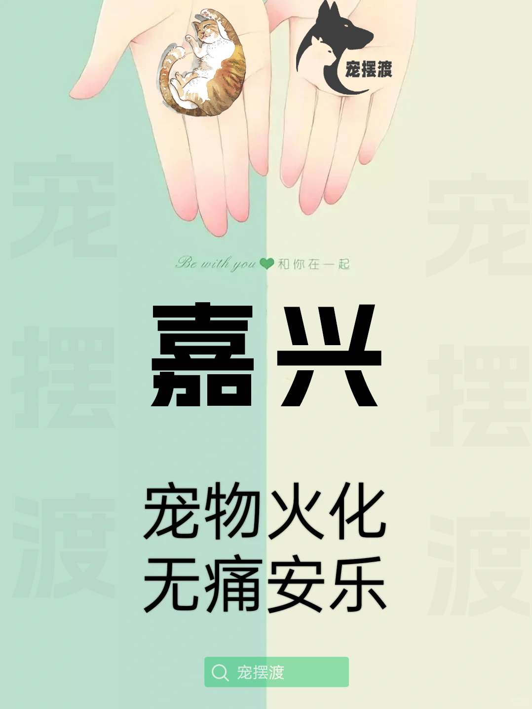 嘉兴宠物殡葬：如何为宠物选择合适的殡葬团队