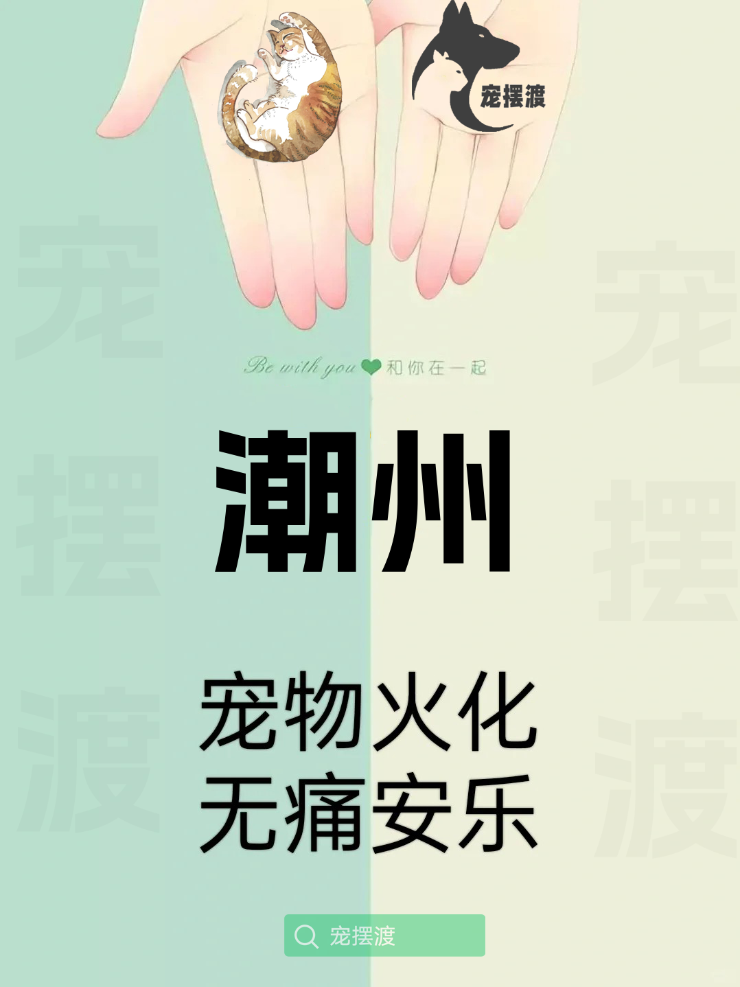 潮州宠物丧葬：如何处理宠物的遗体告别仪式
