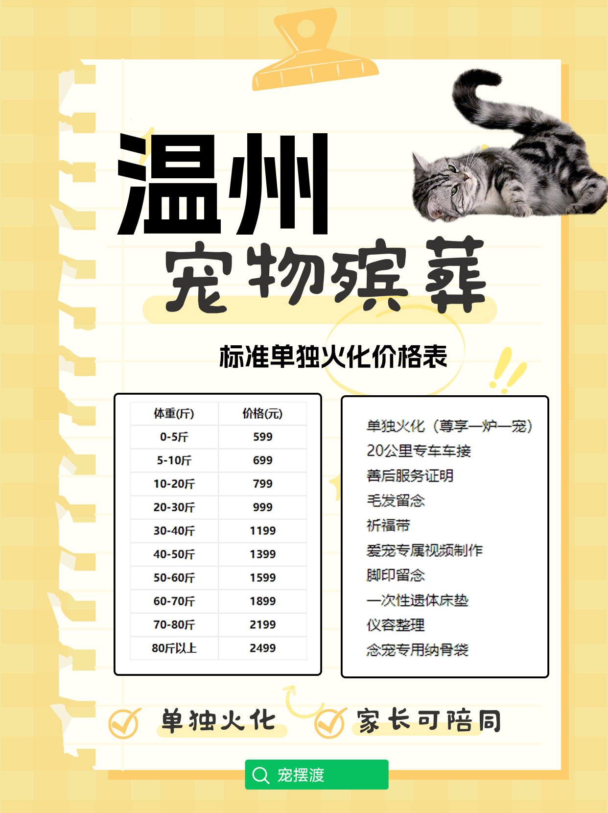 温州宠物善后：如何在悲伤中找到继续前行的勇气