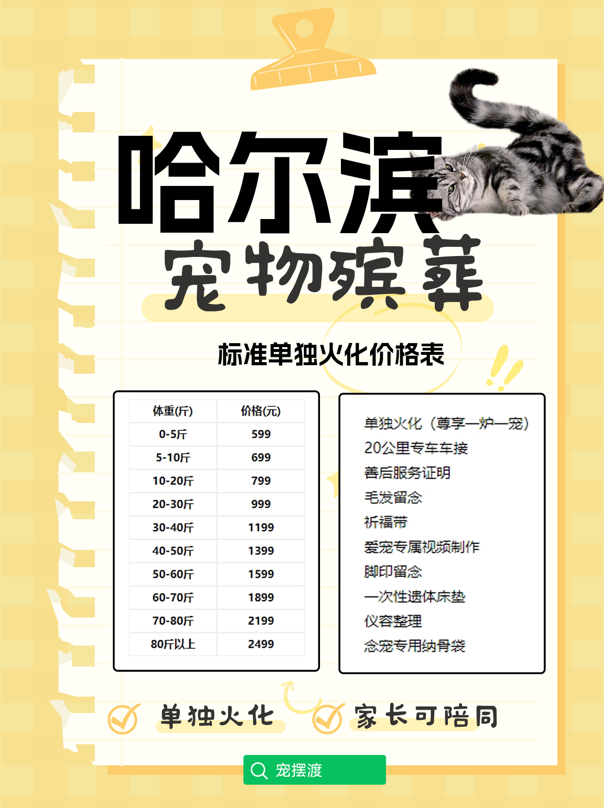 哈尔滨宠物善后：如何面对失去爱宠后的孤独与思念