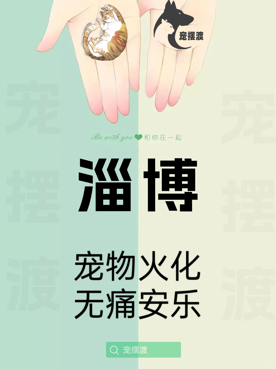 淄博宠物殡仪馆：如何让告别更具情感价值