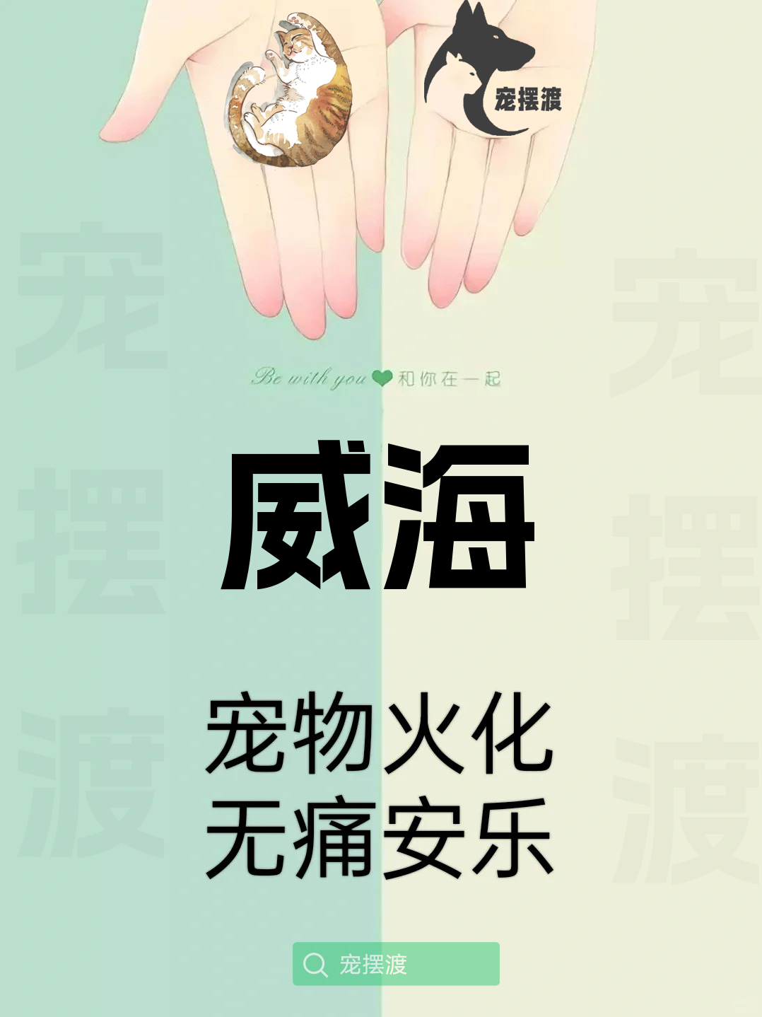 威海宠物身后事：如何处理宠物的遗体告别仪式