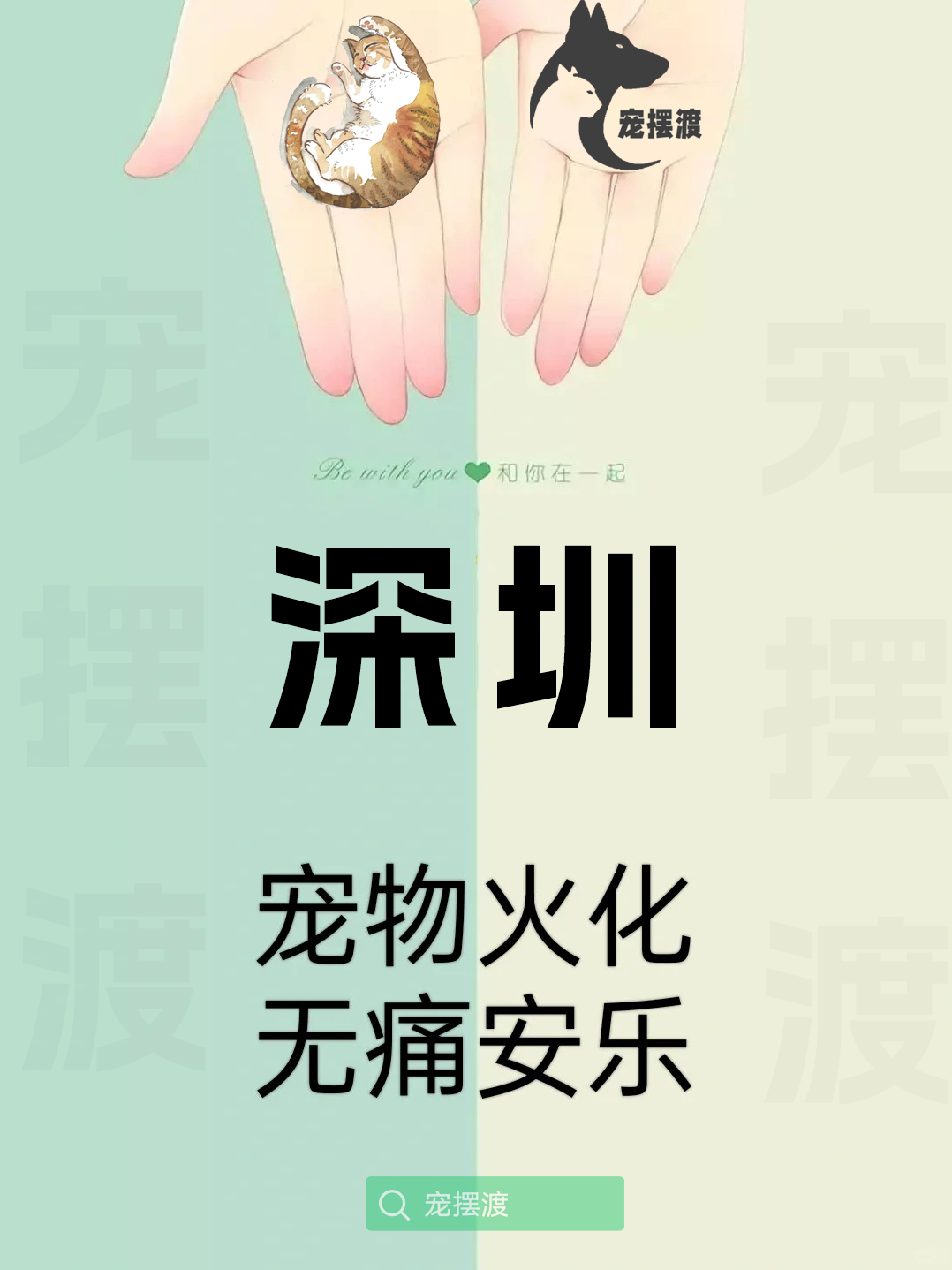 深圳宠物殡仪馆：如何让告别更具仪式感