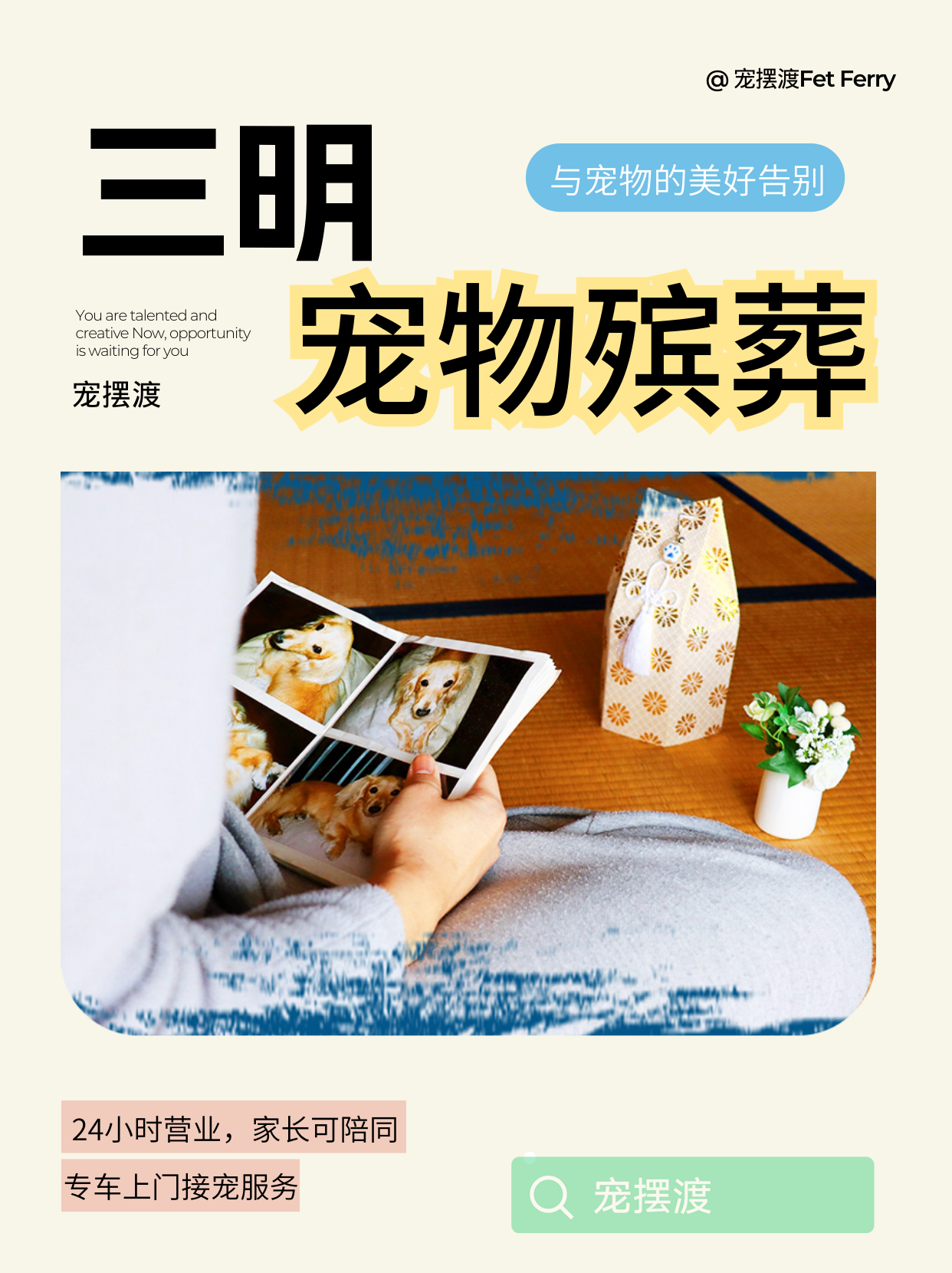 三明宠物无害化处理后骨灰能放电视柜吗？