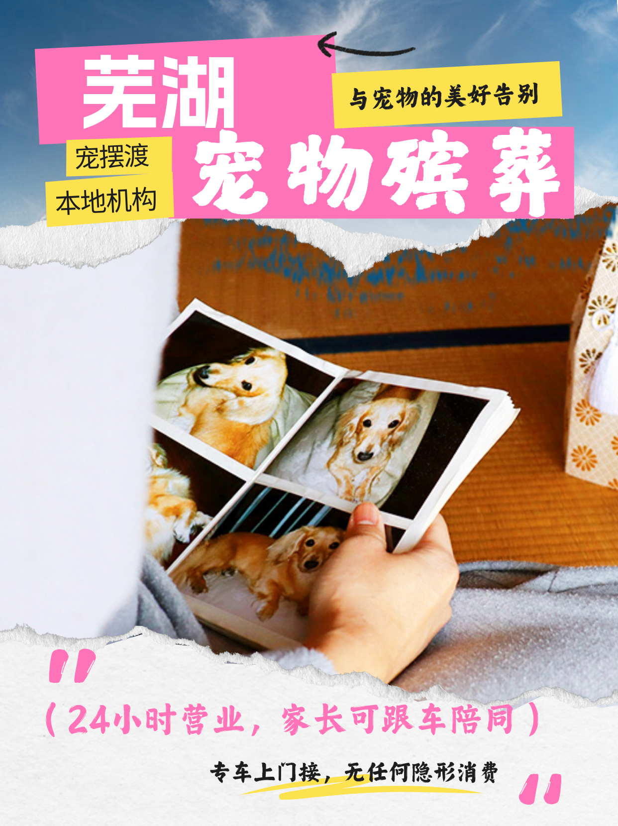 芜湖宠物火化后，如何布置一个纪念角？