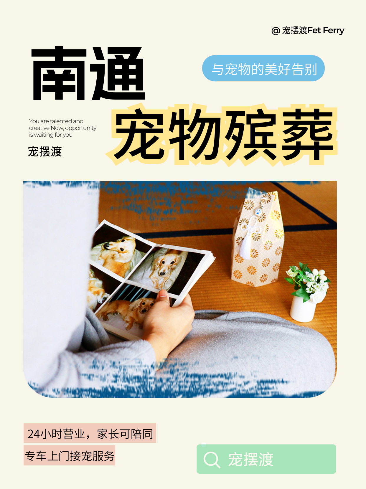 南通宠物火化前准备工作详细实用好用完整清单​