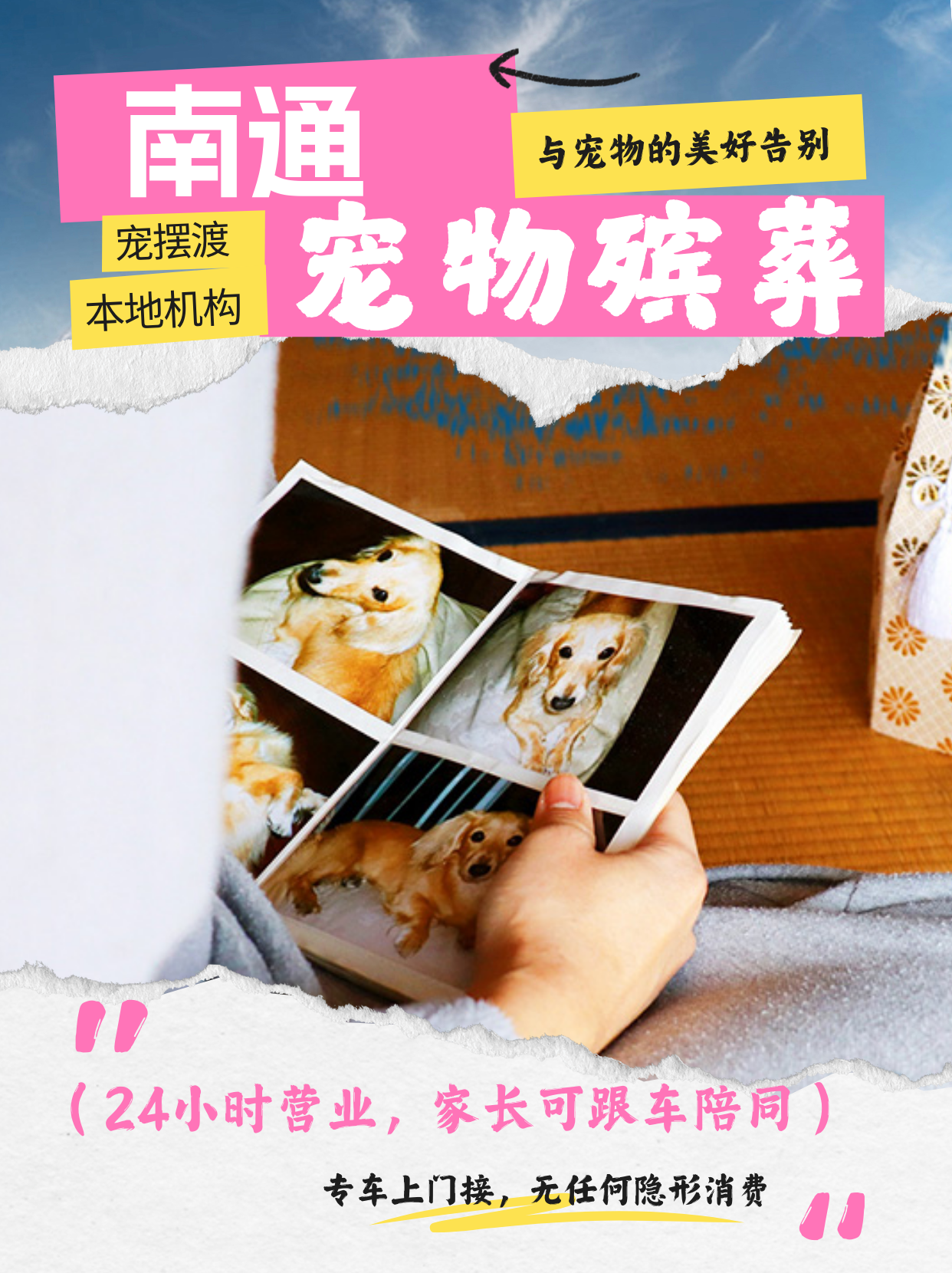 南通毛孩子走了，梦到它是不是它在找我？