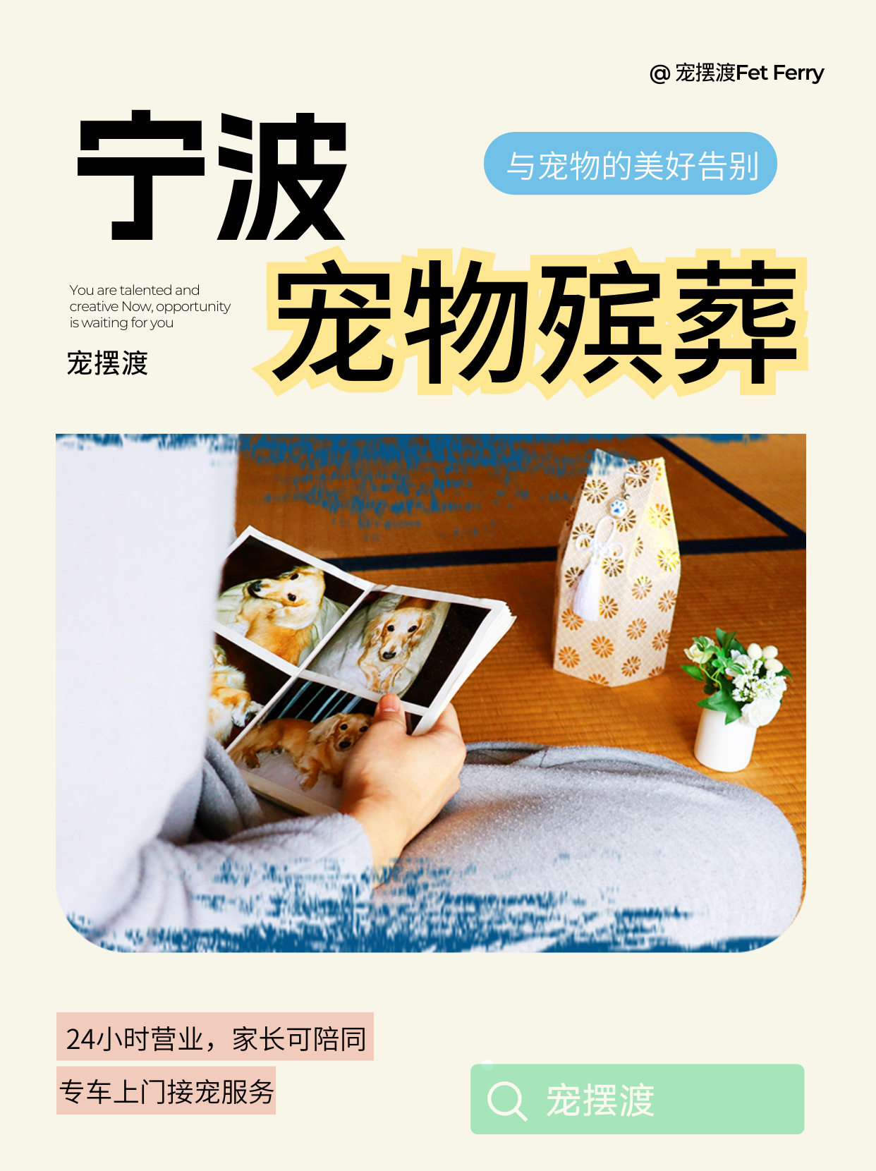 宁波宠物善后服务性价比详细全面完整对比​