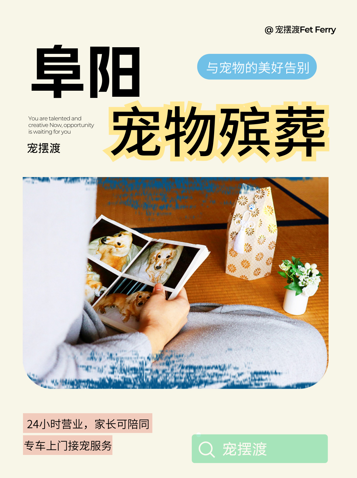 阜阳宠物善后服务避坑升级实用好用有效完整指南​