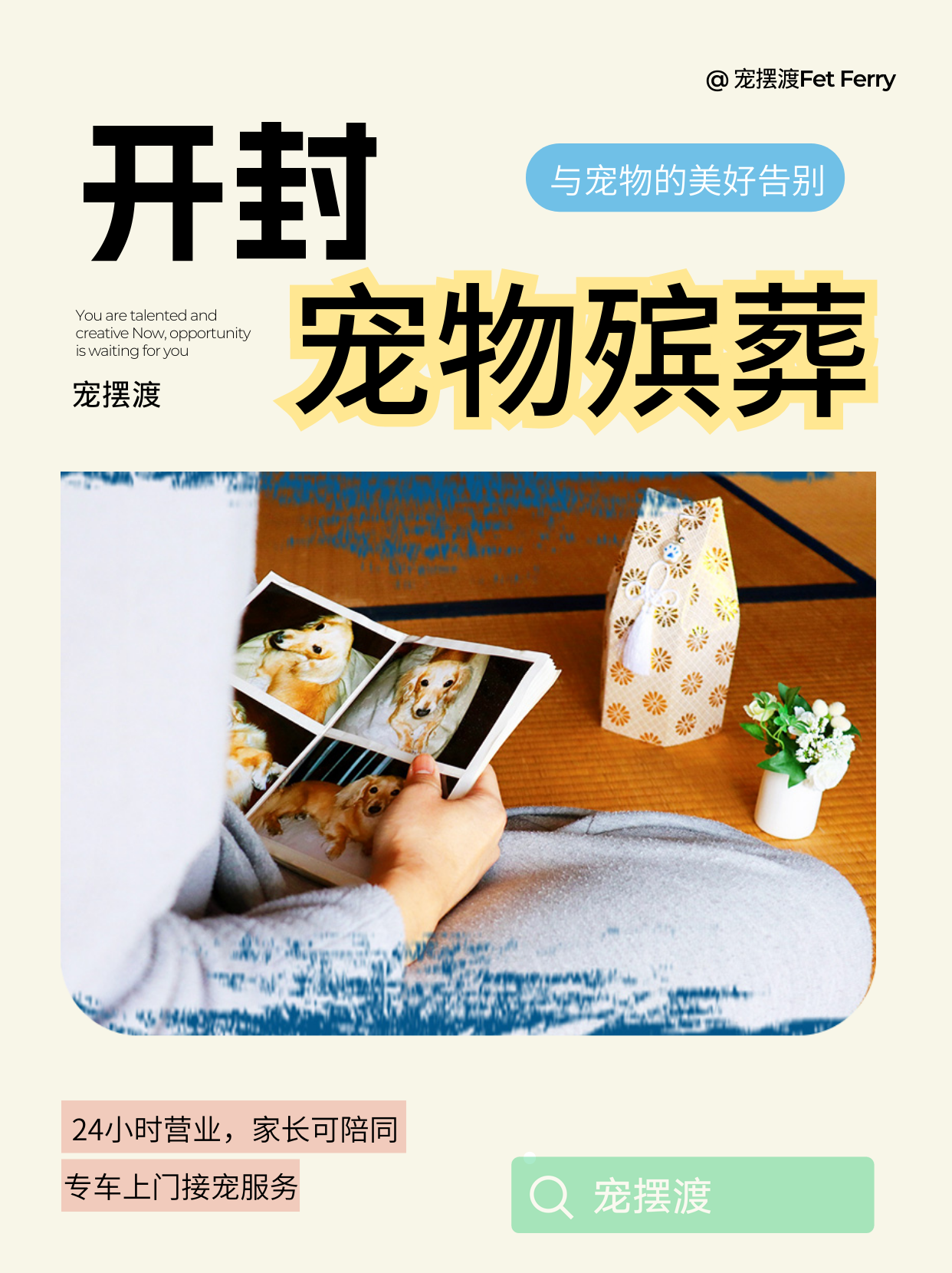 开封毛孩子留下的照片和视频怎么整理？