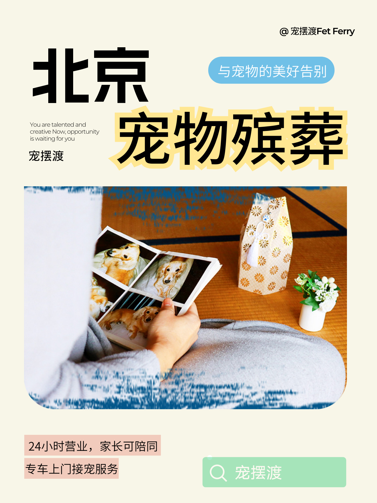 北京毛孩子离开，这些事情你需要知道并处理