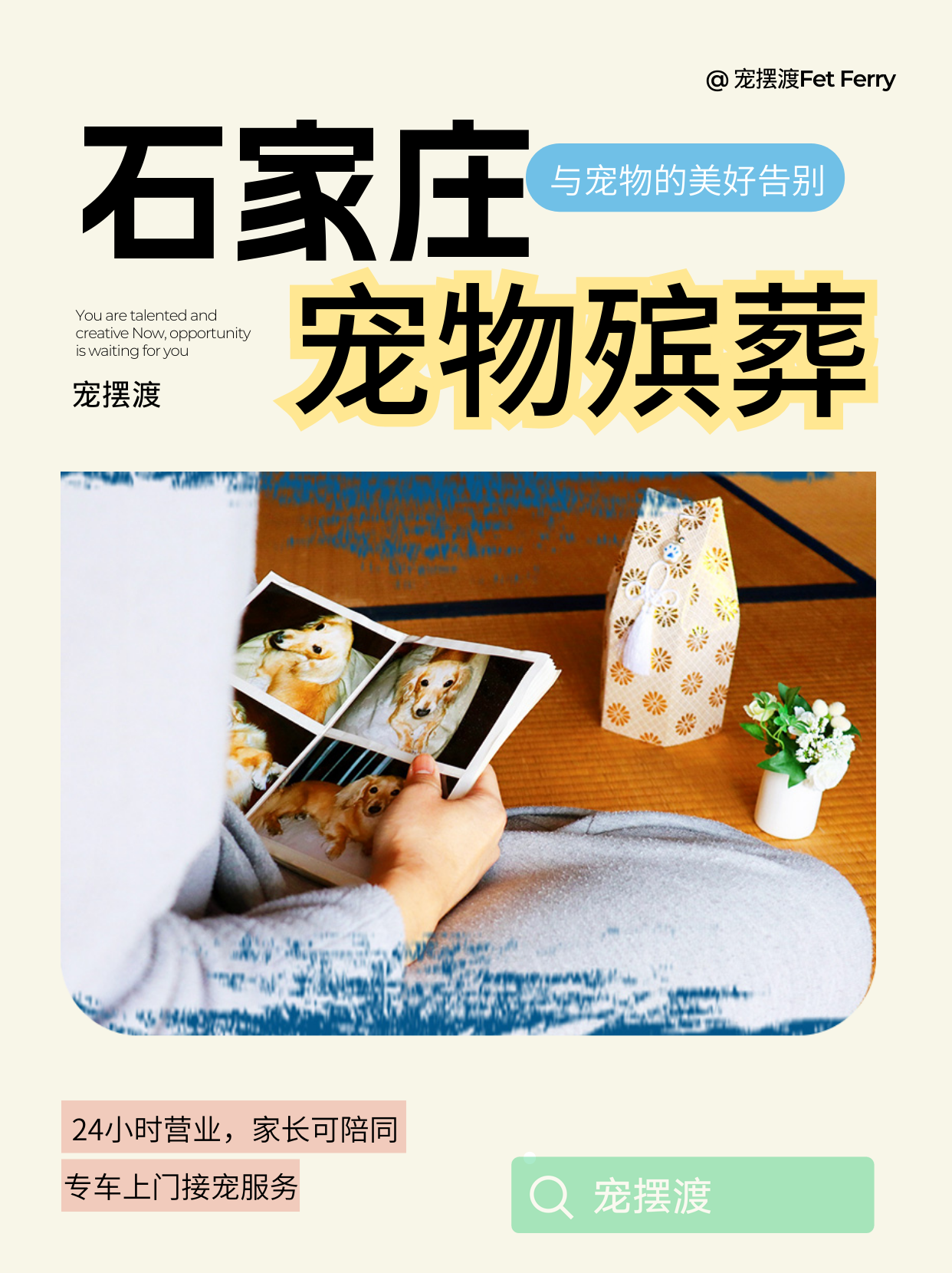 石家庄火化前要不要整理宠物的毛吗？