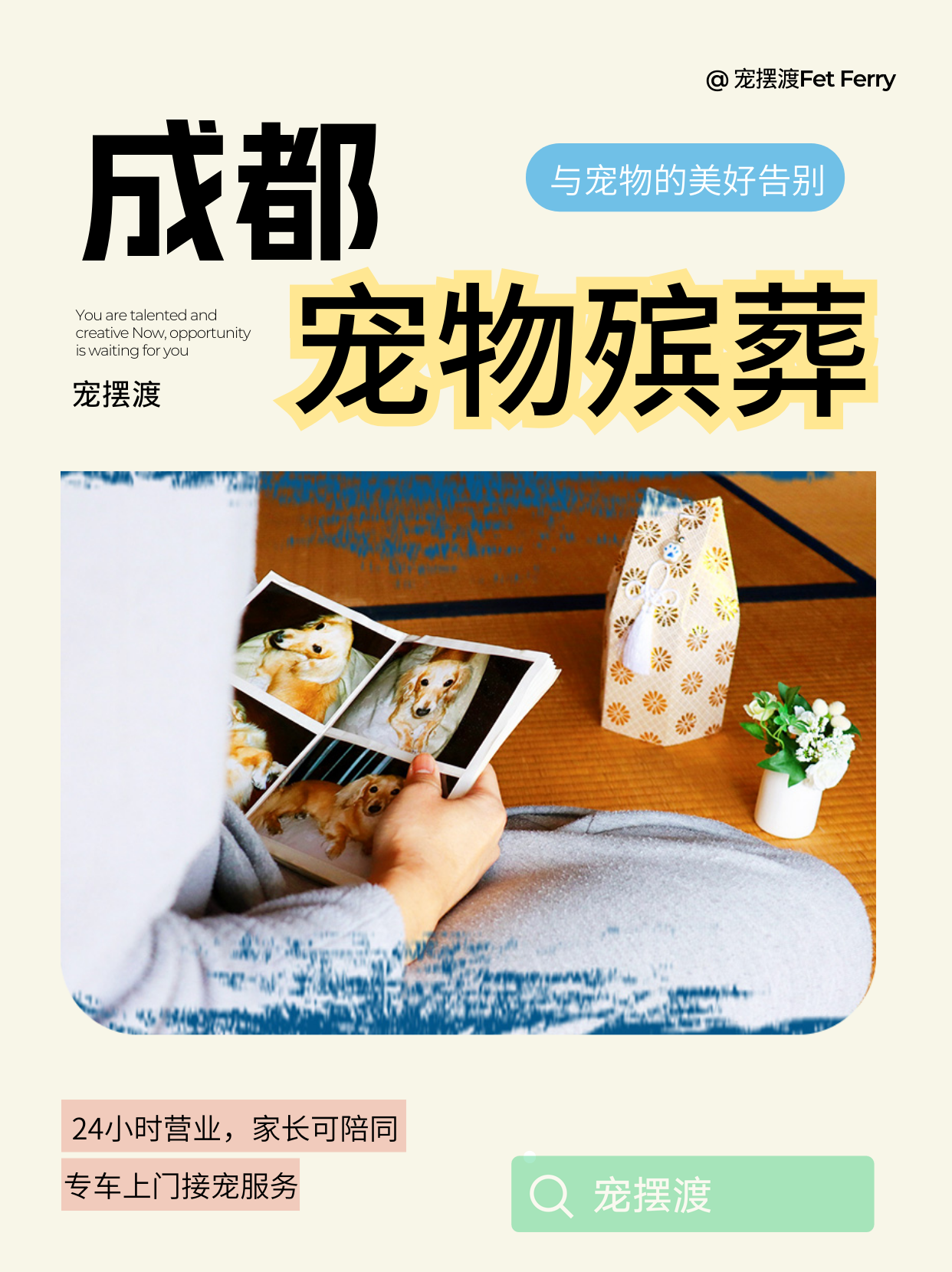 成都宠物去世，别慌！这份流程帮你理清思路