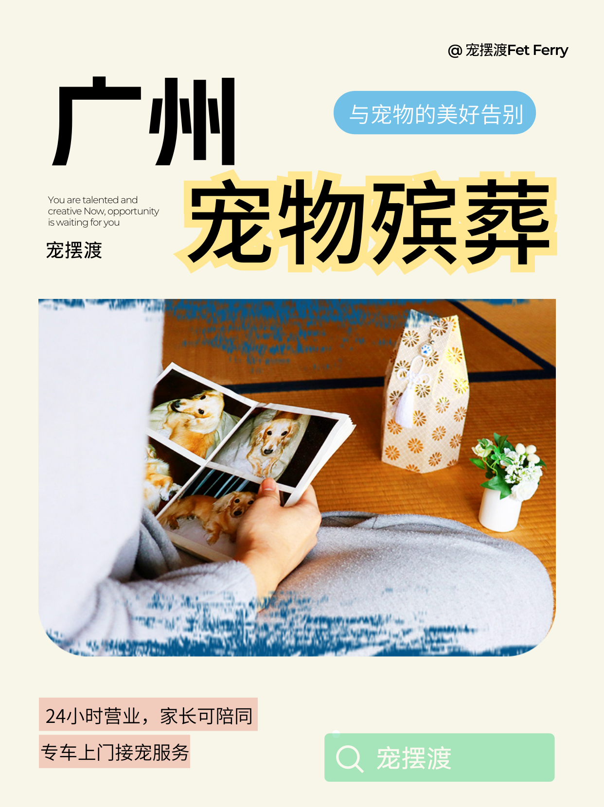 广州宠物去世，火化和善后怎么选择？