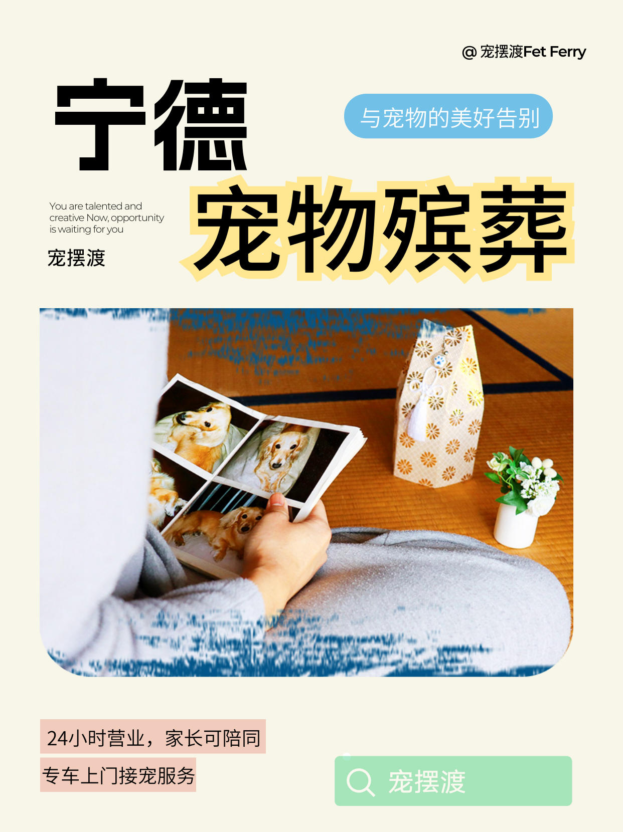 宁德宠物善后，这些地方需要注意