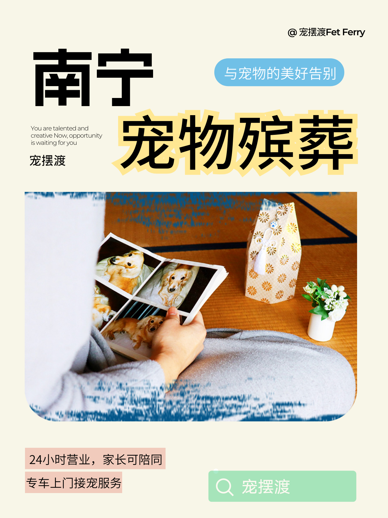 南宁简洁不复杂的宠物善后服务推荐