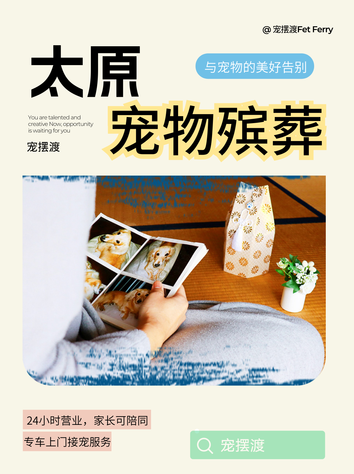 太原宠物火化过程全揭秘精彩震撼完整实录​
