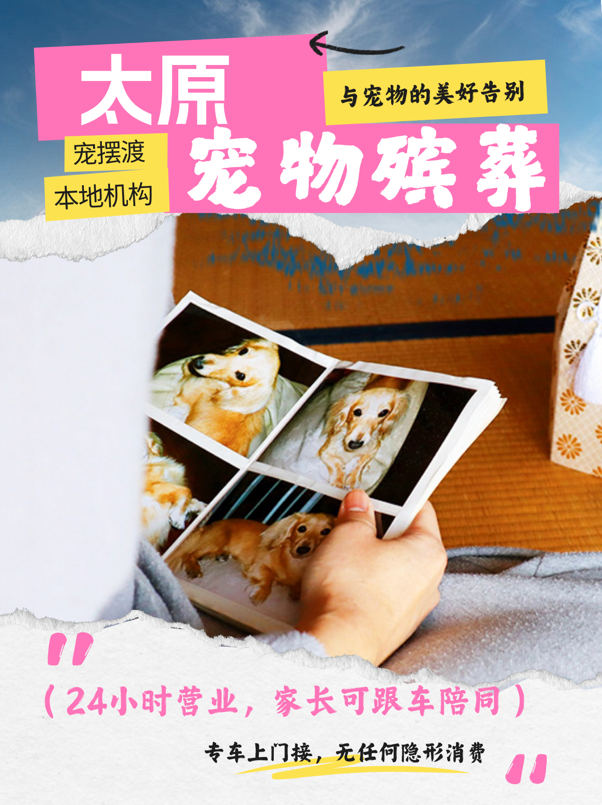 太原宠物殡葬，可以定制纪念相册吗？